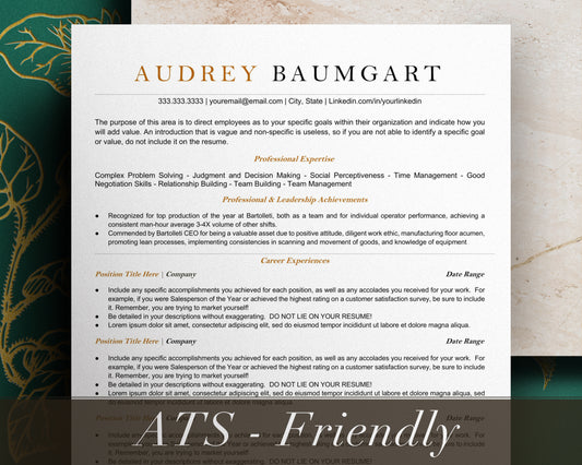 ATS Friendly Resume Template Google Docs - Audrey - Hired Guardian