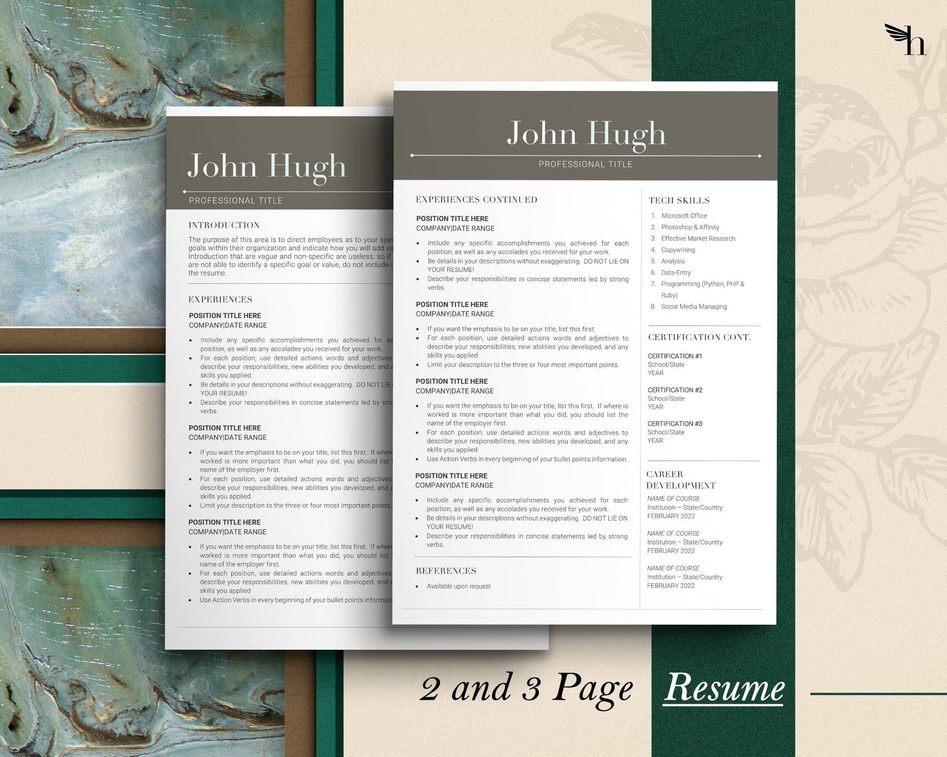 Modern Resume Template for Microsoft Word, Apple Pages, Resume 2022 - "John" - Hired Guardian