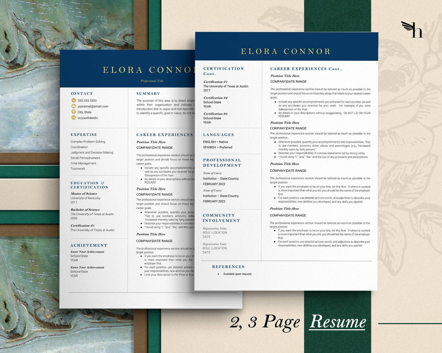 Modern Executive Resume Template Google docs, Word and Apple Pages 2022 - Elora - Hired Guardian