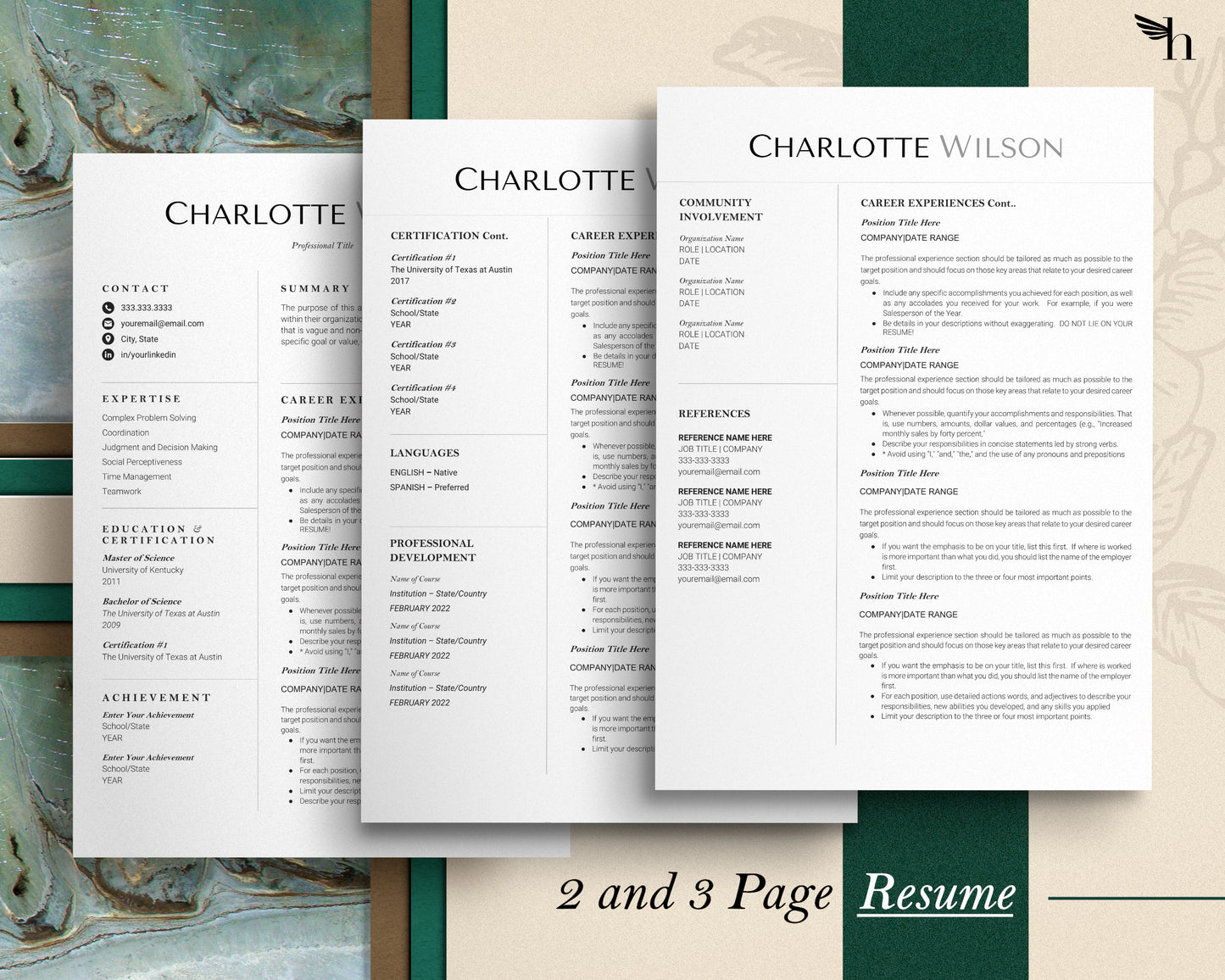 Clean, Simple Resume Template Google docs, Word and Apple Pages - Charlotte - Hired Guardian