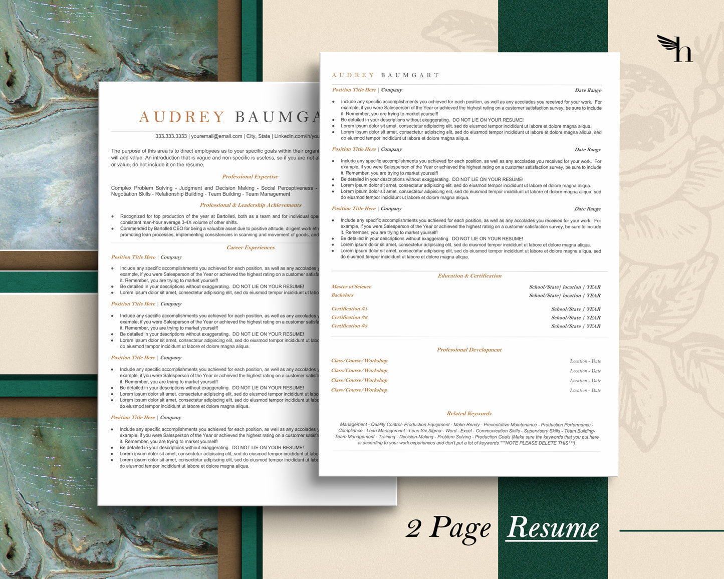 ATS Friendly Resume Template Google Docs - Audrey - Hired Guardian