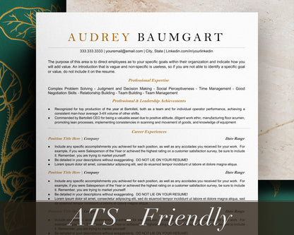 ATS Friendly Resume Template Google Docs - Audrey - Hired Guardian