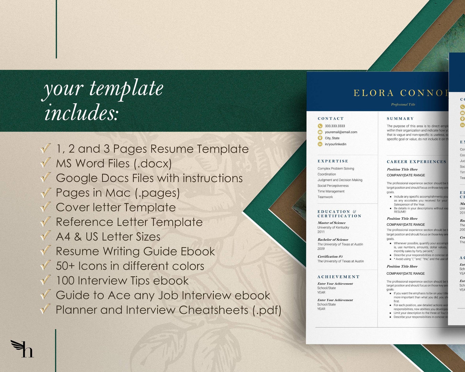 Modern Executive Resume Template Google docs, Word and Apple Pages 2022 - Elora - Hired Guardian