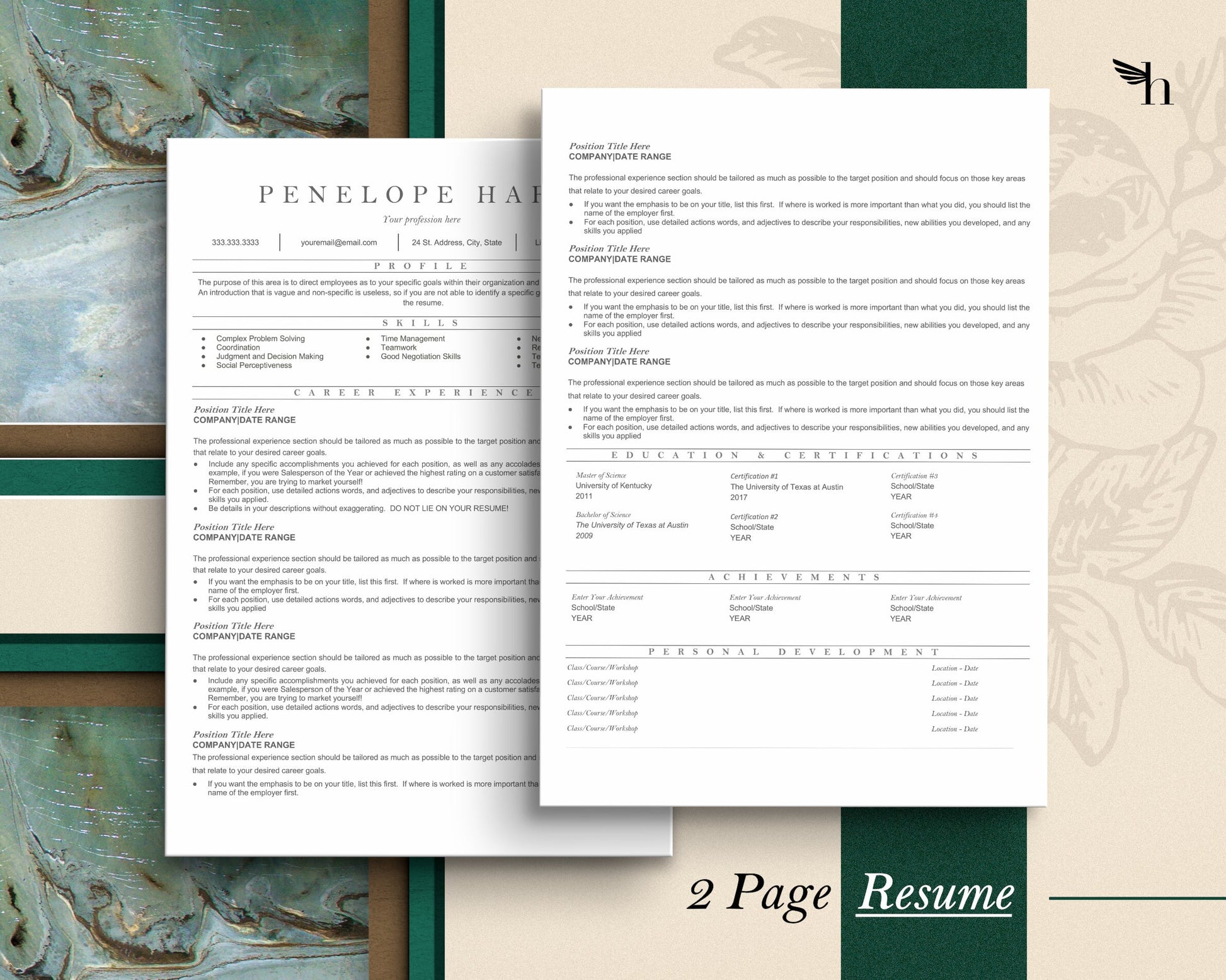 Resume Template ATS Friendly, ATS Friendly Resume Template Word & Pages, Functional Resume Template, Resume template Google Docs