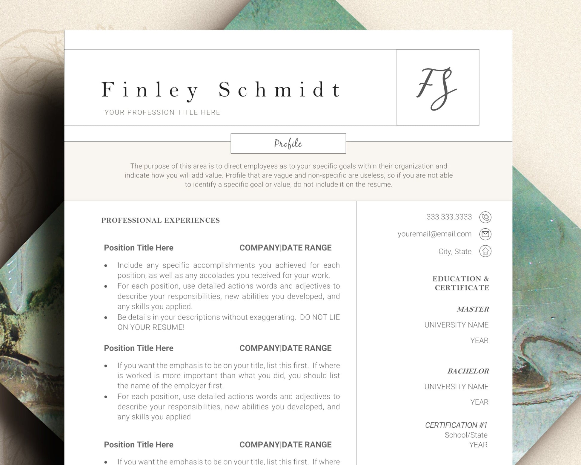 CV Template, Modern Resume Template, Professional Resume Template, Executive Resume Template, Clean Modern Resume Template, Resume Template