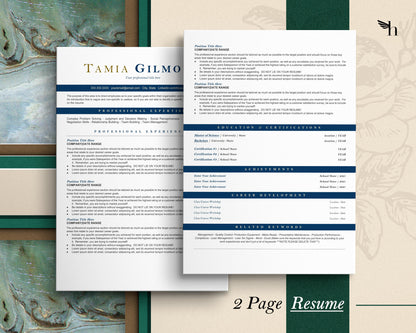 ATS Combination Resume Template Google Docs and ms word, cv Resume Template Google Docs, ATS Resume, ATS Resume Template, Cv Template Word