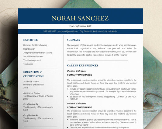 Google Docs Resume Template, CV Template Word, Executive Resume Template, Google Docs, Resume Template Modern, Corporate Resume