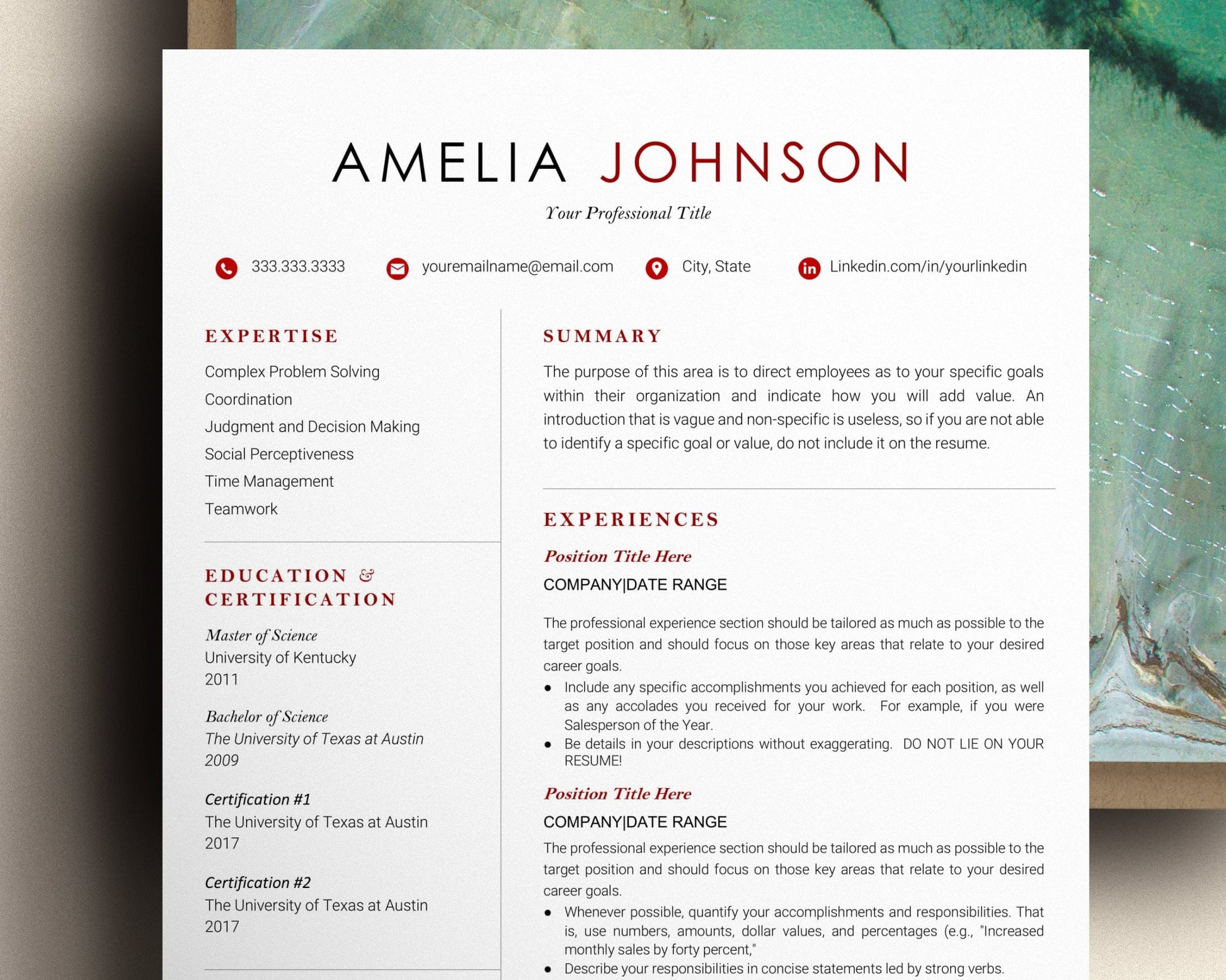 Minimalist Resume Template Google Docs, Google Docs Resume Template, CEO Resume Template, Cv Template Google Docs, 2023 Resume Template Word