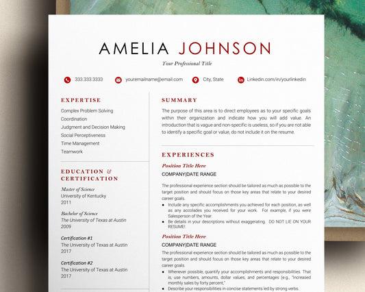 Minimalist Resume Template Google Docs, Google Docs Resume Template, CEO Resume Template, Cv Template Google Docs, 2023 Resume Template Word