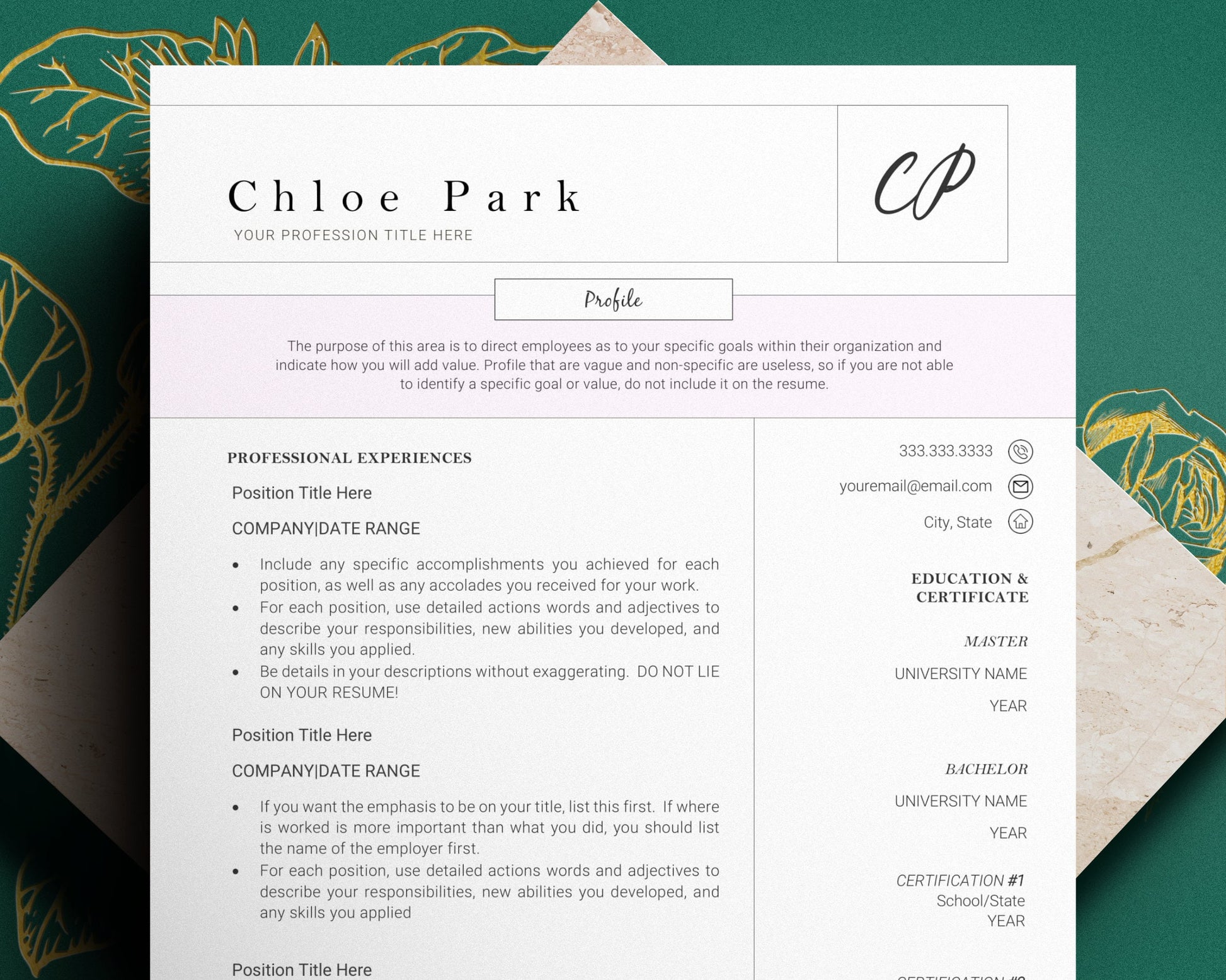 Cv Template Professional, professional resume template word cv, creative resume template, student nurse resume, resume template, cv template