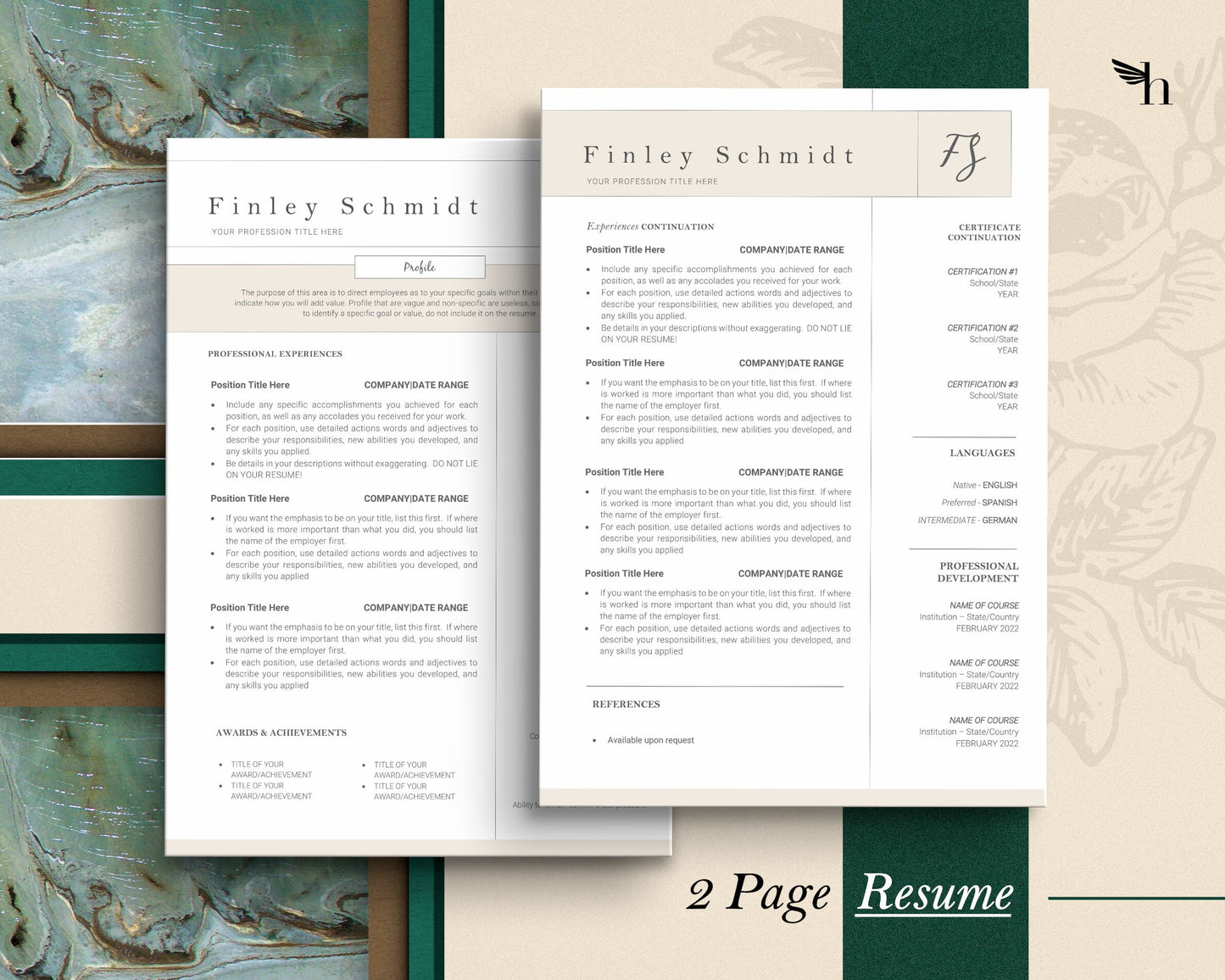 CV Template, Modern Resume Template, Professional Resume Template, Executive Resume Template, Clean Modern Resume Template, Resume Template