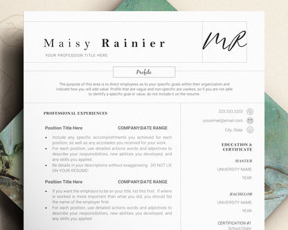 2 Page Resume Template Word, Executive Resume Template, Clean Curriculum Vitae, Creative Resume Template, Resume Template Word, pages, mac