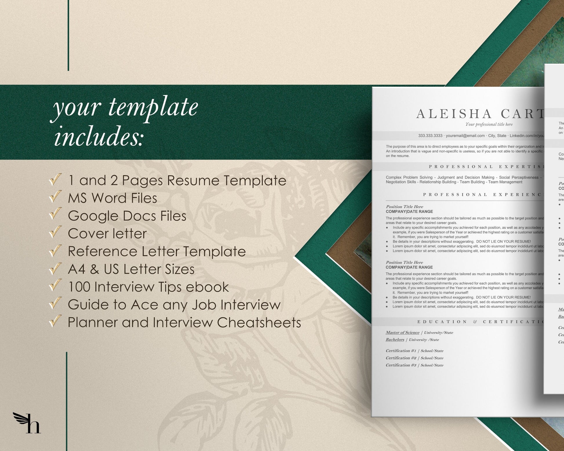 Google Docs Resume Template, Nurse Resume Template, Professional Resume template, CV template, Google docs Resume Template, Nursing CV