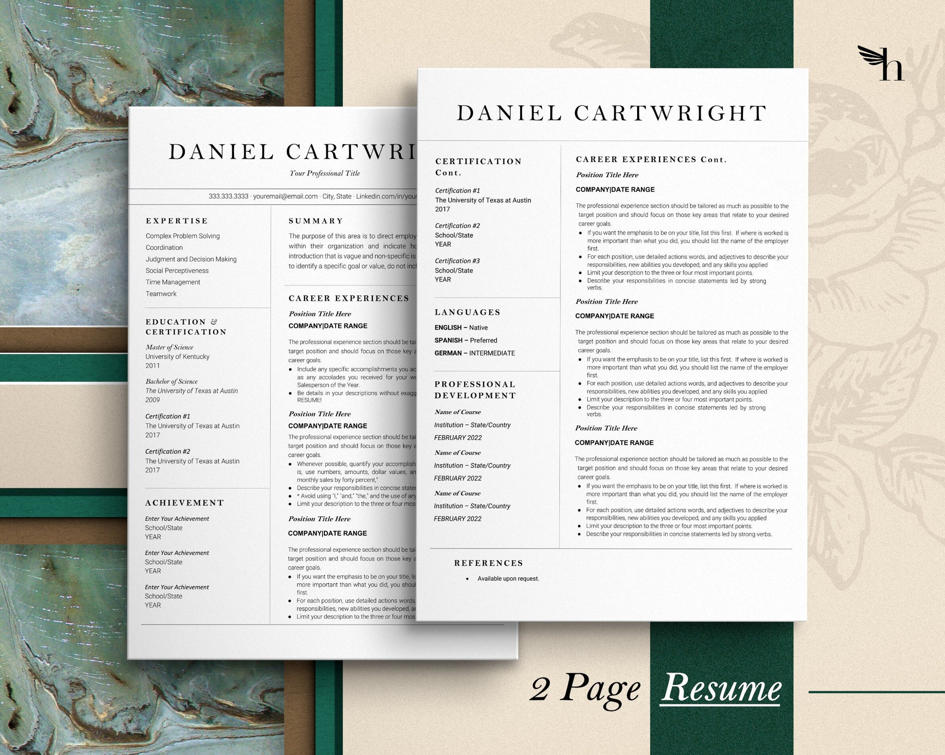 Minimalist Resume Template Google Docs, Google Docs Resume Template, CEO Resume Template, Cv Template Google Docs, 2023 Resume Template Word