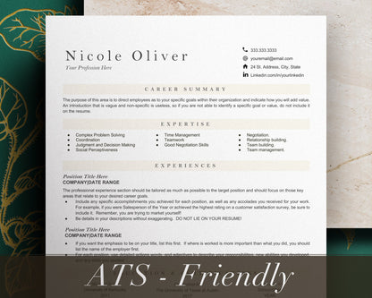 Google Docs Resume Template, CV Template Word, ATS Resume Template for Word, Google Docs, Google Docs Resume Template, ATS Compatible Resume