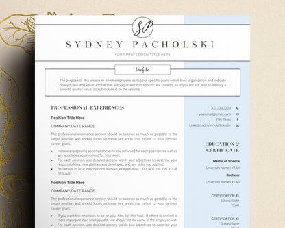 Cv Template For Professional, professional resume template word cv, creative resume template, student nurse resume, modern resume template