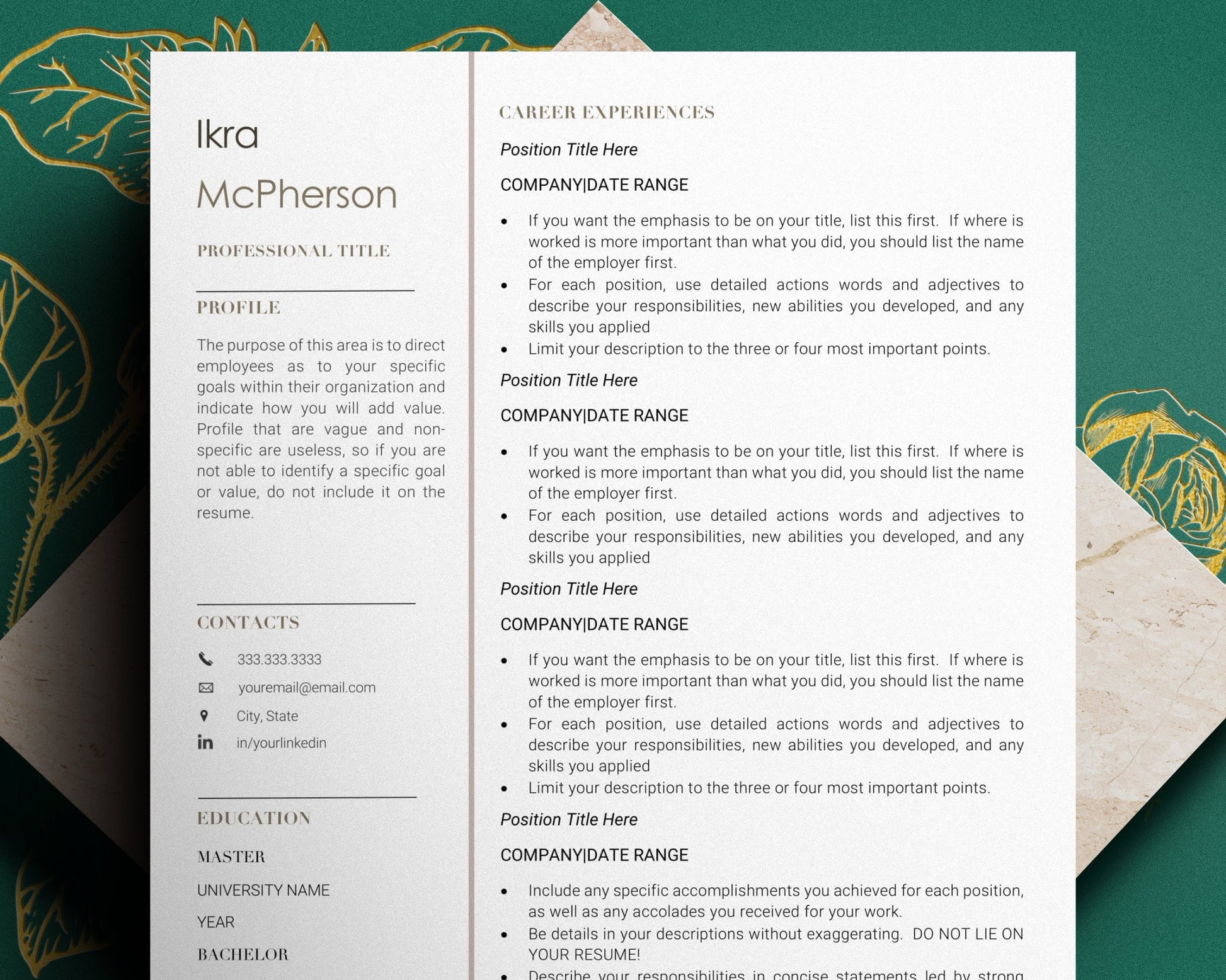 Cv Template Professional, professional resume template word cv, creative resume template, student nurse resume, resume template, cv template