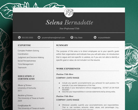 Modern CV, Executive Resume Template 2023, Modern CEO Resume Template Google Docs, Resume Template, 1, 2, 3 Page Director Resume Template