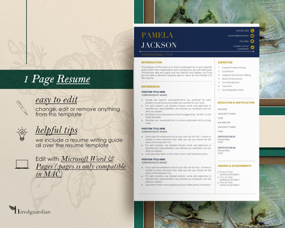 Professional Executive Resume Template 2023, CEO Resume Template for Word and Apple Pages, Resume Template, 1, 2, 3 Page Resume Template