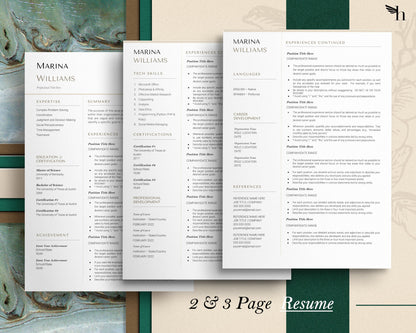 Modern CV, Professional Resume Template 2023, Modern CEO Resume Template Google Docs, Resume Template, 1, 2, 3 Page Director Resume Template