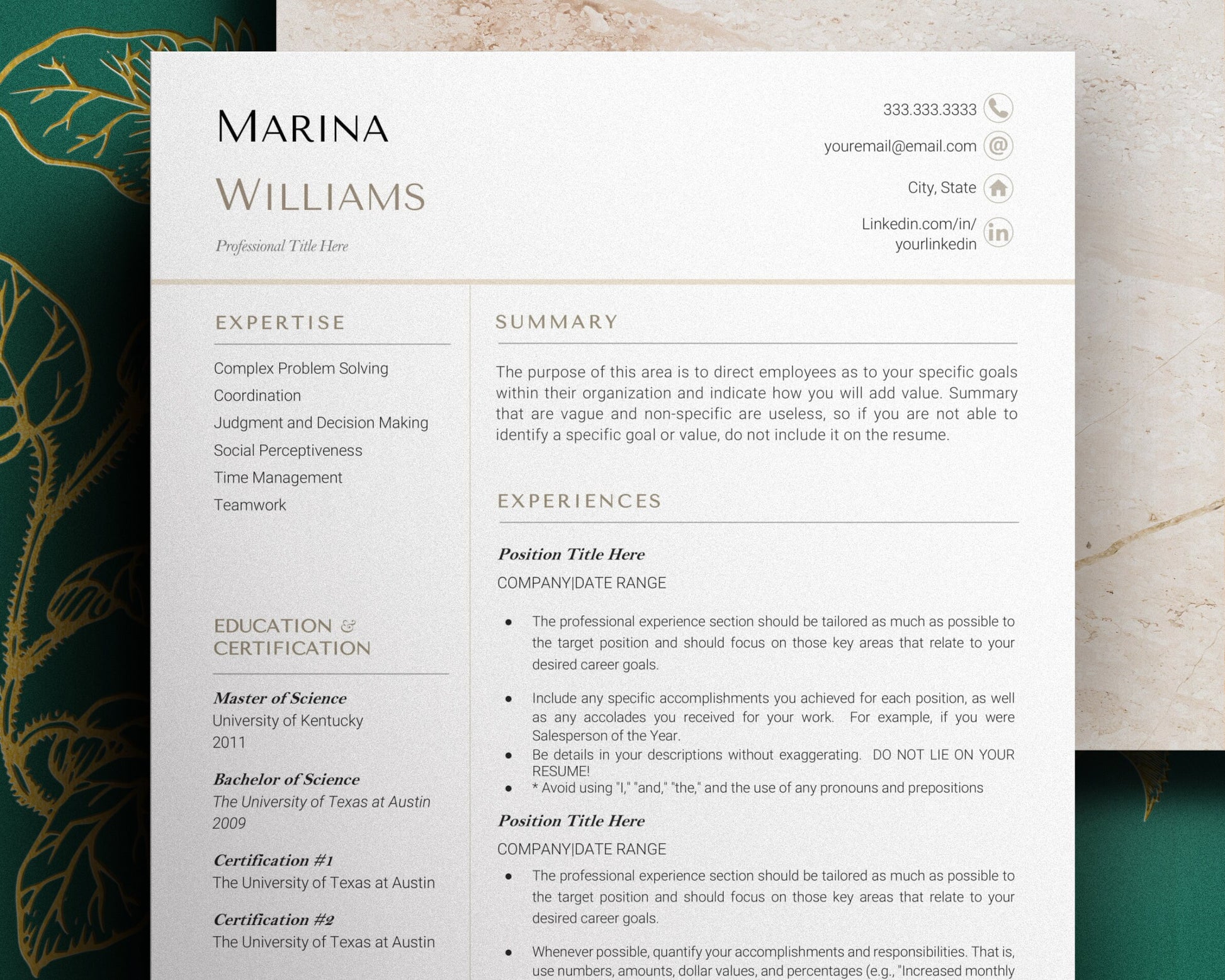 Modern CV, Professional Resume Template 2023, Modern CEO Resume Template Google Docs, Resume Template, 1, 2, 3 Page Director Resume Template