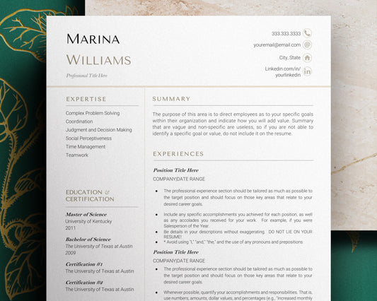 Modern CV, Professional Resume Template 2023, Modern CEO Resume Template Google Docs, Resume Template, 1, 2, 3 Page Director Resume Template