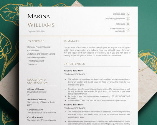 Google Docs Resume Template, CV Template Word, Executive Resume Template, Google Docs, Resume Template Modern, Modern Resume Template